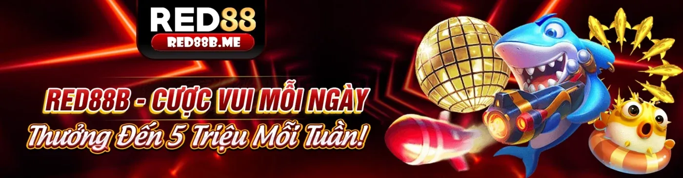 Bắt đầu trải nghiệm x8bet